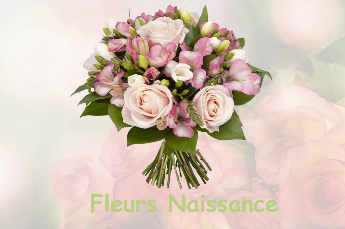 fleurs naissance COMBREUX