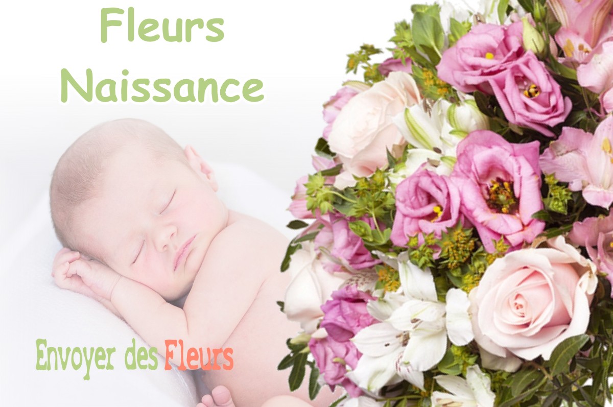 lIVRAISON FLEURS NAISSANCE à COMBREUX